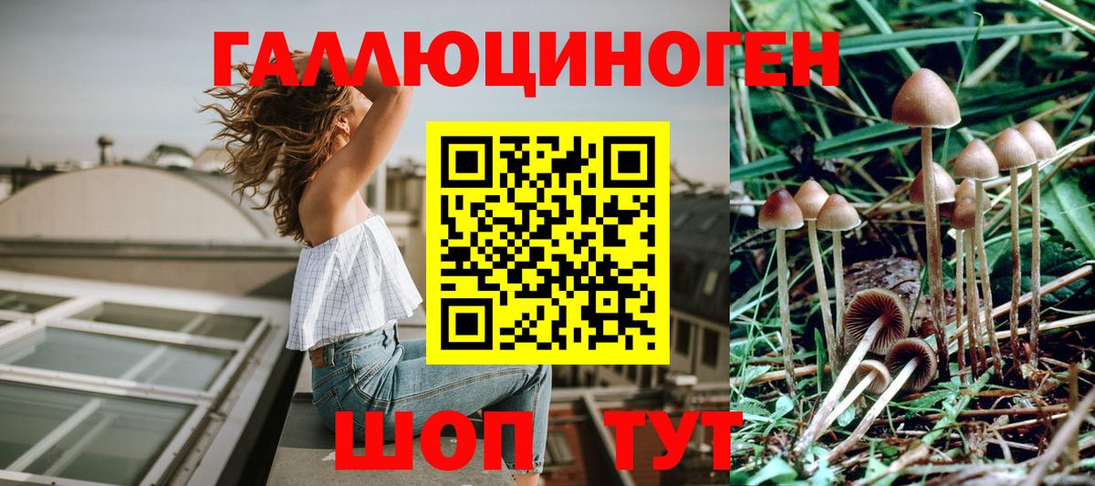 Псилоцибиновые грибы мухоморы  наркота  Вход с VPN  Нерюнгри  Псилоцибиновые грибы MAGIC MUSHROOMS 