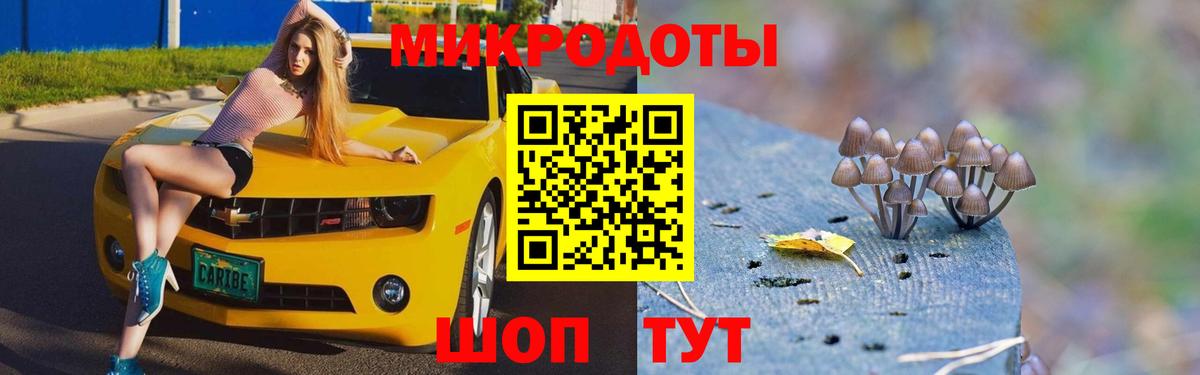 Галлюциногенные грибы ЛСД Нерюнгри